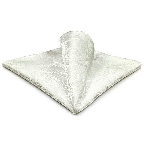 SHLAX&WING Mens Pocket Square Silk White Solid Color Paisley for Suit Jacket New