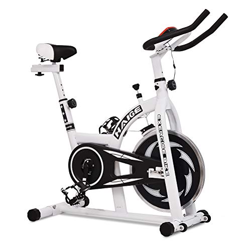 HAIGE スピンバイク HG-YX-5006 ホワイト 【1年保証】