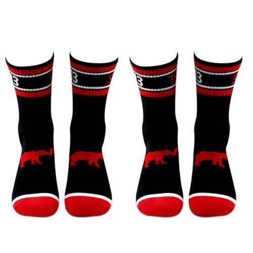 LEVLO Sister Sorority Socks Elephant 1913 Sorority Sister Socks Gift Sister Birthday Socks