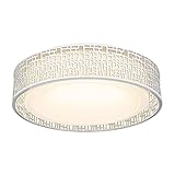 20W LED Ceiling Light, VICNIE 14 Inch Flush Mount Lighting Fixture,1400 Lumens 3000K Warm White, Dimmable, ETL Listed for Kitchen, Hallway, Bedroom, Stairways (Metal Body and Acrylic Shade)