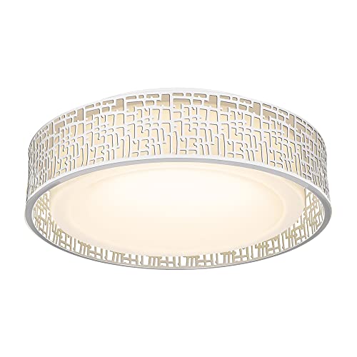 VICNIE 20W LED Ceiling Light, 14 Inch Flush Mount Lighting Fixture,1400 Lumens 3000K Warm White, Dimmable, ETL Listed for Kitchen, Hallway, Bedroom, Stairways (Metal Body and Acrylic Shade)