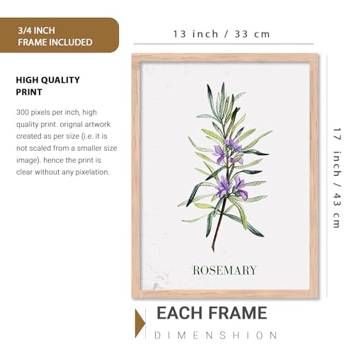Image of kotart Kitchen Herbs Digital Painting for Restaurant Dinning Room Wall Decoration - Minimal Cooking Herbs Wall Art Prints for Kitchen Decor (13X17 INCH, D) Pack of 6