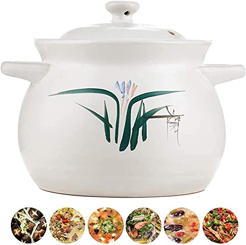 UWEREBFM Cacerola de cerámica con tapa, olla de cocción saludable a fuego abierto, olla de cerámica resistente a altas temperaturas (2850 ml)