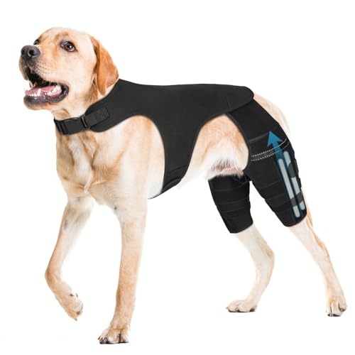 Pawfun Dog Knee Brace for Hind Leg – Adjustable Dog Rear Leg Support Brace with 4 Metal Stabilizers, Helps with Torn CCL, Luxating Patella, Ligament Injuries, Hip Dysplasia,XXL