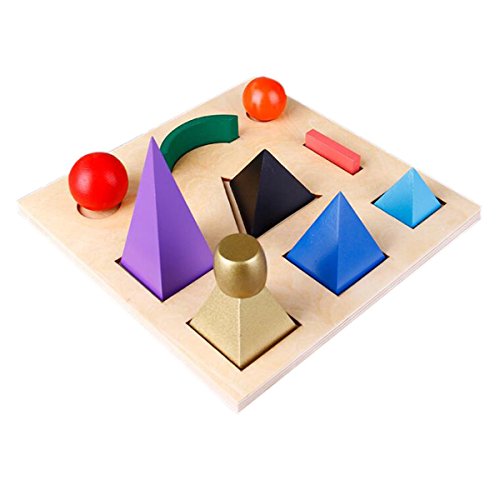 New Sky Montessori Solid Grammar Symbol Children's Language Learning Aids with Cut-Out Tray Early Development Material