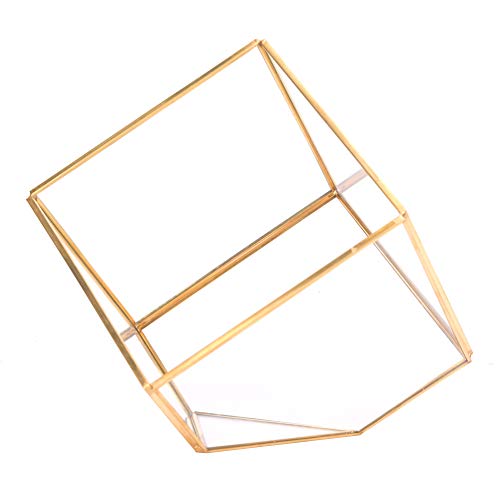Gucagle Macetero de Cristal geométrico Dorado, Barra de Cobre de Cristal Transparente, decoración Moderna para el hogar y la Oficina, contenedor de suculentas de 6x6x6 Pulgadas