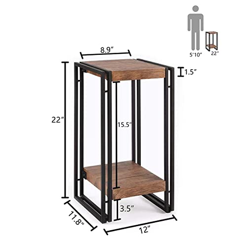 Fuslite 2 Tier Plant Stand, Vinyl Player Stand With 2 Tier Display Shelf Vintage Flower Pot Holder Plant Shelf For Living Room, Bedroom, Office #TOP1
