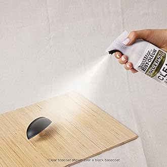 Rust-Oleum 302151 Universal All Surface Clear Topcoat Spray, 11 oz, Dead Flat Clear