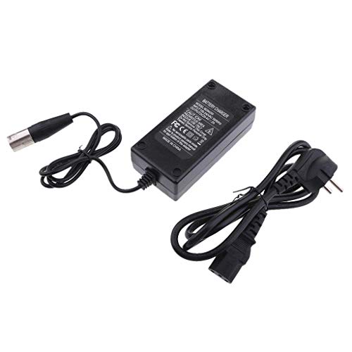 Lithium-Akku, Ladegerät für E-Bike, intelligentes Ladegerät für Btterie