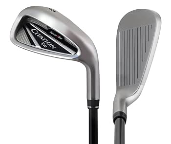 Amazon.co.jp: パワービルト サイテーション V001 アイアン