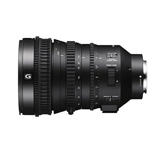 Sony 18-110mm f/4 Power Zoom Lens