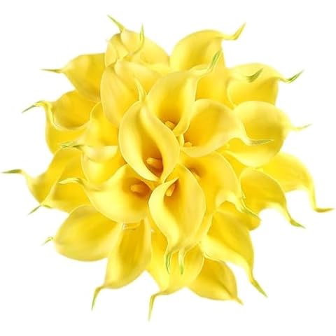 Floral Kingdom 20 PCS Premium Artificial Calla Lily Flowers, Silk Flowers Real-Touch PU Latex for DIY Weddings, Home & Event Decor (Yellow) Cover