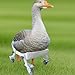 Pet Goose Mobility Aid Wheelchair, Equipped with A Secure Elastic Strap. Adjustable & Comfortable Wheelchair for Pet Goose,and Animals
