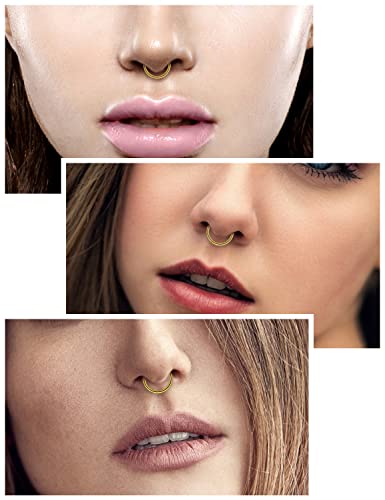 Vsnnsns 14G 16G Septum Nose Rings Hoops Lip Ring Piercing Jewelry 316L Surgical Steel Hinged Segment Clicker Cartilage Tragus Helix Conch Rook Daith Lobe Earrings Hoops Piercing Jewelry for Women Men4