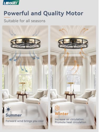Image of LEDIARY 30 inch Caged Low Profile Ceiling Fan with Light and Remote Black