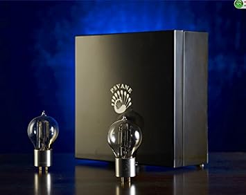 زوج مطابق Psvane We205d أنابيب فراغ جديدة العلامة التجارية مضخم مسبق