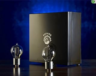 Matched Pair Psvane We101d/ We101d-l Western Electric1:1 Power Vacuum Tube