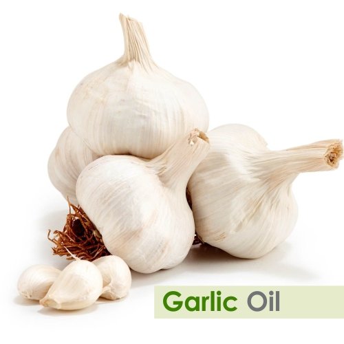Image of Salvia Garlic Oil with Dropper 100% Natural Pure Undiluted Uncut Essential Oil 250ml