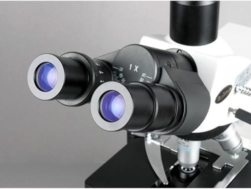 Image of AmScope T690B-PL Trinocular Compound Microscope, 40X-2000X Magnification, WH10x and WH20x Super-Widefield Eyepieces, Infinity Plan Achromatic Objectives, Brightfield, Kohler Condenser, Double-Layer Mechanical Stage