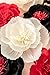KEY SPRING Crepe Paper Flower Decorations for Wall, Wedding Backdrop, Nursery Wall Decorations, Bridal Shower, Graduation Party, Birthday Party (Black, Red, White, Set of 6)