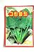 Spinchoy Seeds Korean 2pack