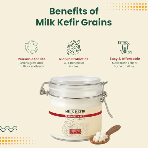Tabchilli Live Milk Kefir Grains, Fresh Fermented Culture with Recipe Card, Natural Gut Health, Active Starter for fermenting milk, Traditional Milk Fermentation Kit (4g)