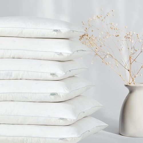 CLOUDOTE Goose Feather Down Throw Pillow Insert (20\"x20\", Pack of 2), Decorative Pillow for Sofa, Couch, Bed, Chair Cushion
