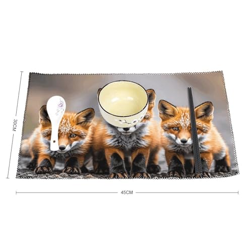 Sets de table lavables Many Foxes lot de 6 pour décoration de cuisine 30x45cm - 3