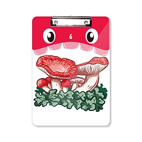 Dossier à tête plate champignon vénéneux A4 pour embellir votre espace de révision
