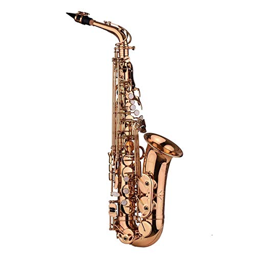 TbNX L[P[X܃N[jONXSAXXgbv`[i[TbNX}Ci[fނ̕