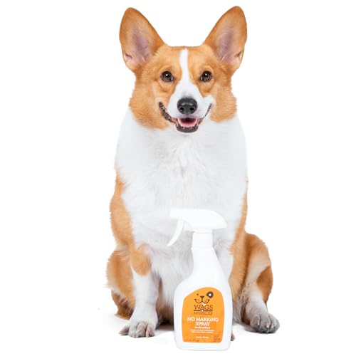 image for Wags & Wiggles No Marking Deterrent Training Spray for Dogs - Indoor D