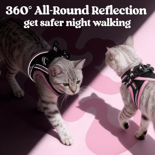 Image of rabbitgoo Cat Harness and Leash Set, Step-in Soft Vest, S, Black & Pink | Escape Proof, Lightweight Air Mesh, Easy-on, Adjustable, Hook & Loop with Buckle, Reflective, for Kittens & Tiny Cats Walks