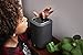 DENON Home 150 - Altavoz multiroom con Sistema HEOS Integrado y Control...