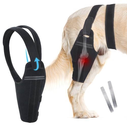 Dog Knee Brace for Torn Acl Hind Leg – Adjustable Support Brace with 2 Stabilizer Support to Reduces Pain, Ligament Injuries & Luxating Patella for Small Medium Large Dogs (Left Leg, M)
