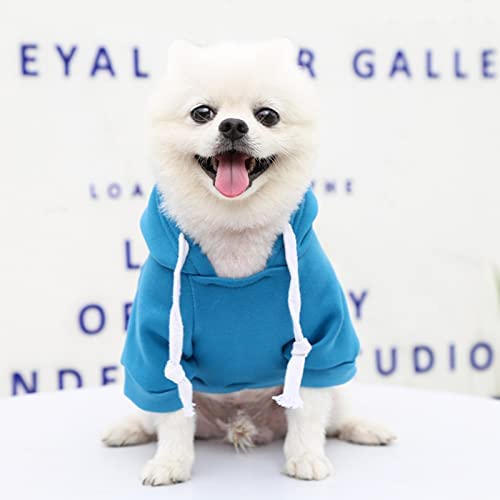 Dog Hoodie For Small Dogs, Teacup Dog Clothes Xs Dog Sweater Cold Weather Puppy Coat For Extra Small Yorkie Chihuahua Toy Poodle Clothes #TOP1