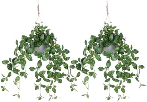 Artificial Hanging Plants, Faux Hanging Greenery Indoor Outdoor Watermelon Peperomia Artificial Plant Fake Potted Plant for Home, Porch, Garden Decor(2 Packs)