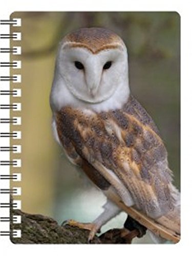 Faithful Friends BARN OWL 3D Notebook STUNNING LENTICULAR 3D EFFECT