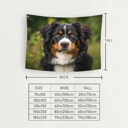 Couverture murale 3D Springer Spaniel en polyester doux
