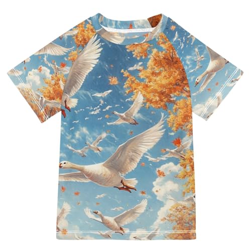 Boy Swimsuit Autumn Leaf Goose Duck Sunscreen T-Shirts Swimwear Sets UPF 50+