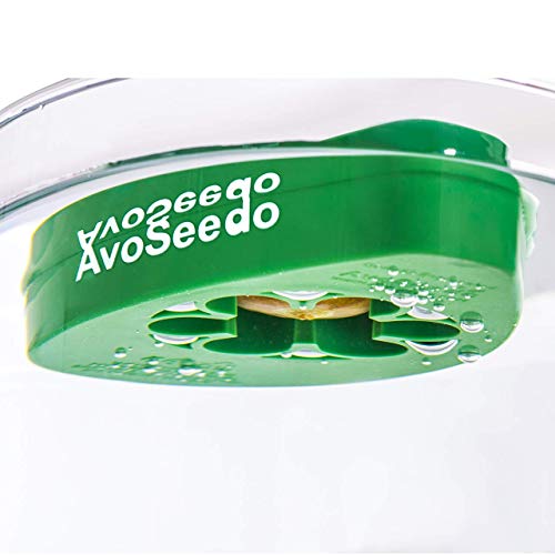 AvoSeedo Bowl Grow Your Own Avocado Tree, Evergreen, Perfect Avocado Tree Growing Kit for Every Avocado Lover - Green, Blue & Transparent - Thumbnail 4