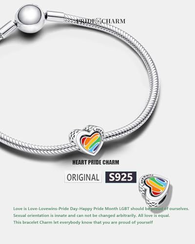 KEQ Rainbow LGBT Pride Gay Dangle Charm for Bracelet Necklace In A World Full Of Darkness Be A Rainbow Gay Couple Pride Month Gift2
