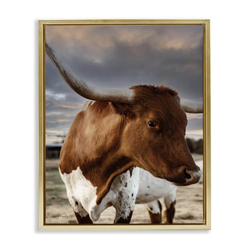 Ranch Sky Cattle Farmhouse, 16 x 20 Inch Canvas in Floater Frame