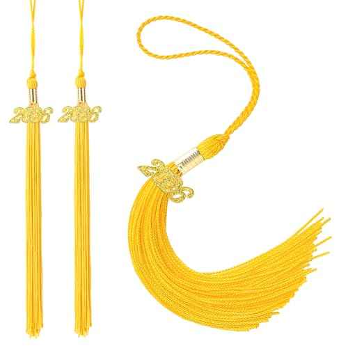 Rinacci 2pcs Gold 2026 Graduation Tassel 2026 Tassel Grad Gifts for Cap Decorations 2 Pcs Gold Tassels for Graduation Cap 2026 High School Grad Tassels Charm 2026 Cap Decorations Class of 2026