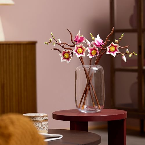 Branches de magnolia - vue 5