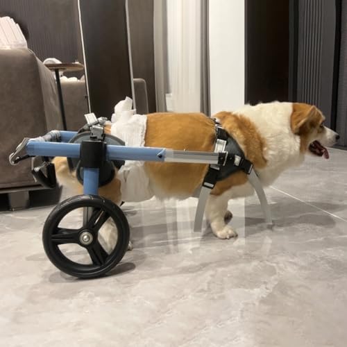 Silla de ruedas para perros pequeños para patas traseras y remolque azul de gatos 2