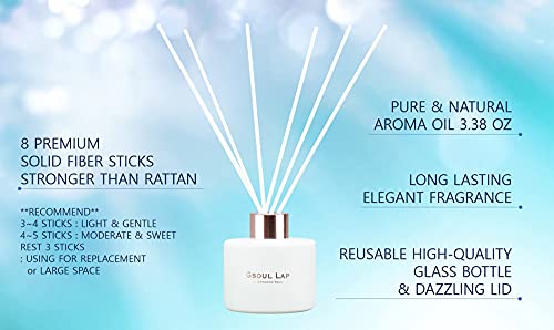 Gsoul Lap By Gangnam Soul Citrus & Lemongrass Reed Diffuser Set / Fragrance Oil Diffuser Reeds / Scent Diffuser / Reed Diffuser Sticks / Room Decor / Office Decor / Home Fragrance Products & Gifts #TOP5