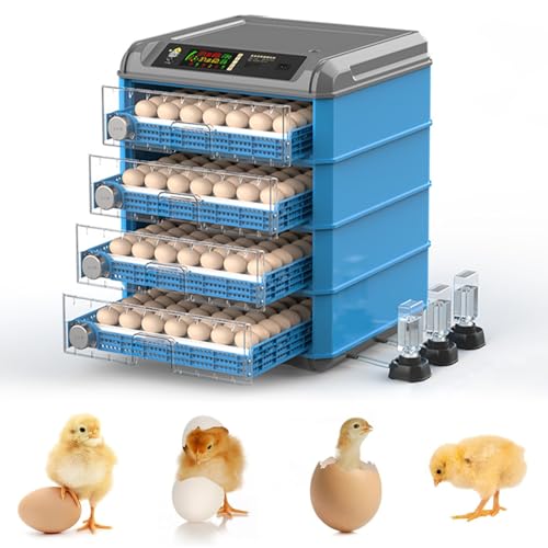 Incubatrice digitale per pollame, tornitura automatica con controllo dell'umidità, ideale per cova pollo, quaglia, uova di anatra