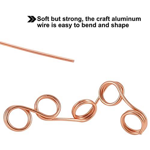 Aluminum Craft Wire 9 Gauge, 3mm Thick 50 Feet Bendable Sculpting Metal Wire for Bike Modelling Skeleton Crafting Floral Making, Jewelry Making, Weaving and Wrapping (Copper)