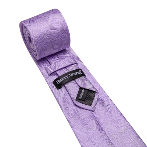 Image of Barry.Wang Paisley Tie for Men Silk Woven Necktie and Tie Clip Set Wedding Party Business Formal