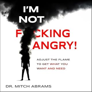 I&rsquo;m Not F*cking Angry! cover art